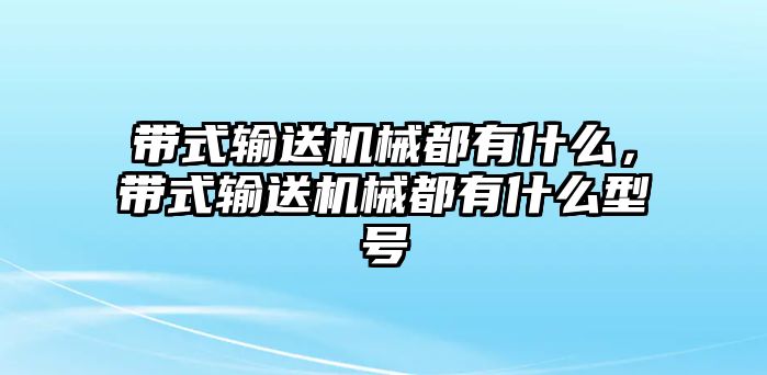 帶式輸送機械都有什么，帶式輸送機械都有什么型號