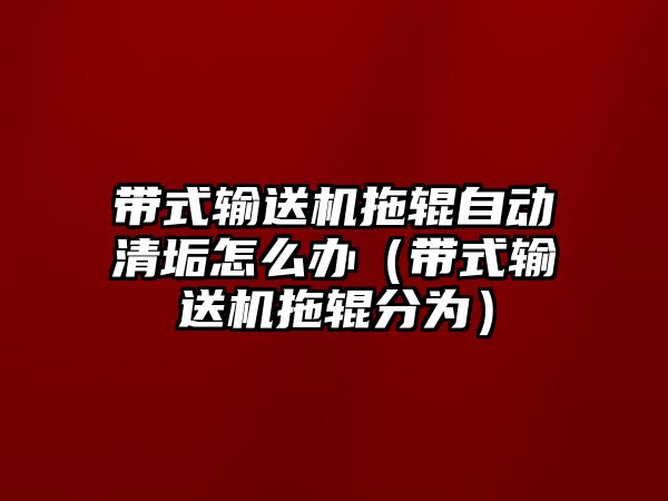 帶式輸送機(jī)拖輥?zhàn)詣?dòng)清垢怎么辦（帶式輸送機(jī)拖輥分為）