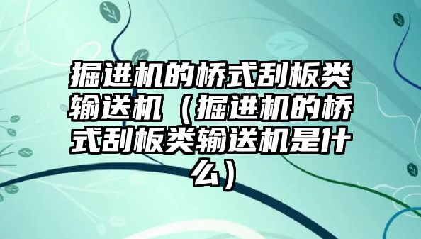 掘進機的橋式刮板類輸送機（掘進機的橋式刮板類輸送機是什么）