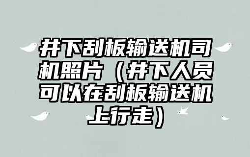 井下刮板輸送機司機照片（井下人員可以在刮板輸送機上行走）