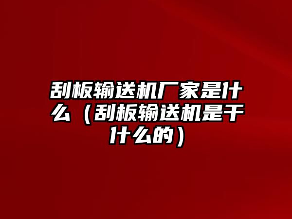 刮板輸送機(jī)廠家是什么（刮板輸送機(jī)是干什么的）