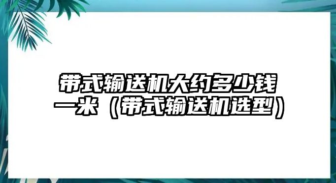 帶式輸送機大約多少錢一米（帶式輸送機選型）