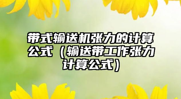 帶式輸送機張力的計算公式（輸送帶工作張力計算公式）