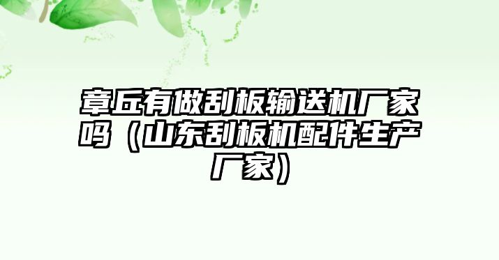 章丘有做刮板輸送機(jī)廠家嗎（山東刮板機(jī)配件生產(chǎn)廠家）