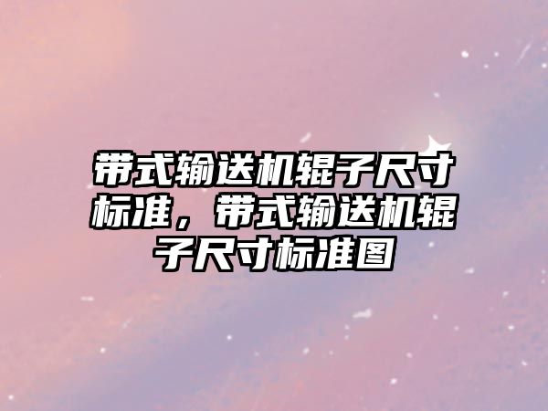 帶式輸送機輥子尺寸標準，帶式輸送機輥子尺寸標準圖