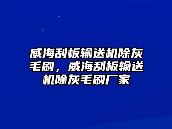 威海刮板輸送機(jī)除灰毛刷，威海刮板輸送機(jī)除灰毛刷廠家