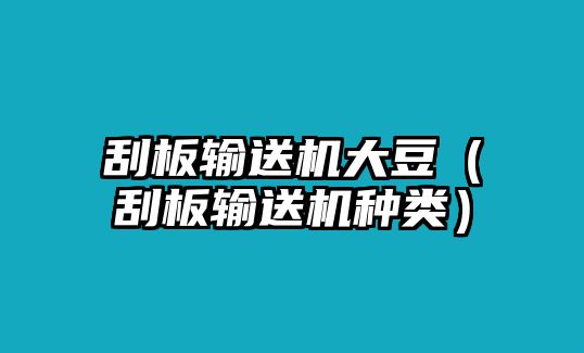 刮板輸送機大豆（刮板輸送機種類）