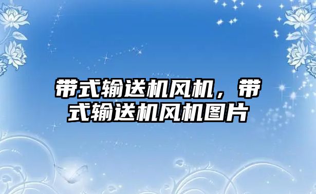 帶式輸送機(jī)風(fēng)機(jī)，帶式輸送機(jī)風(fēng)機(jī)圖片