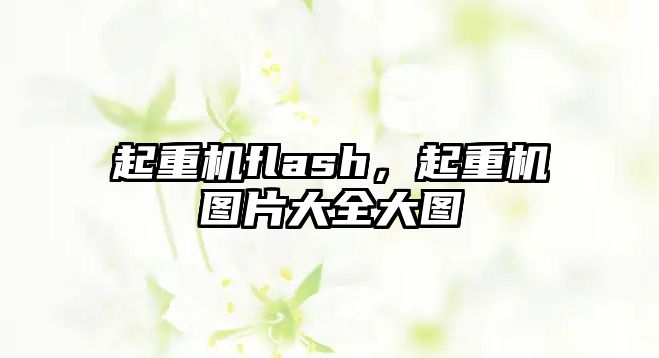 起重機flash，起重機圖片大全大圖