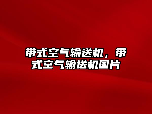 帶式空氣輸送機，帶式空氣輸送機圖片