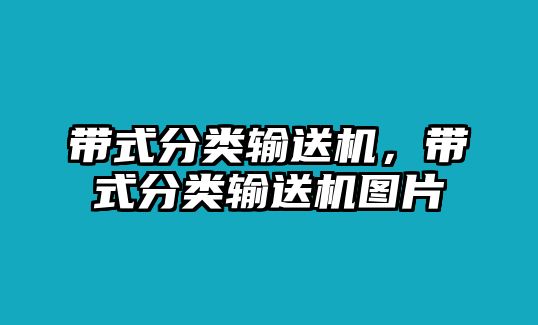 帶式分類輸送機(jī)，帶式分類輸送機(jī)圖片