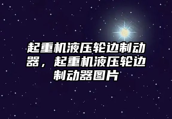 起重機液壓輪邊制動器，起重機液壓輪邊制動器圖片