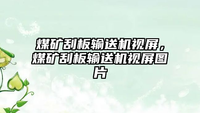 煤礦刮板輸送機視屏，煤礦刮板輸送機視屏圖片