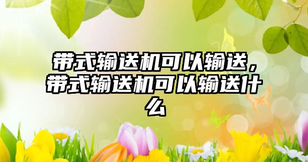 帶式輸送機可以輸送，帶式輸送機可以輸送什么