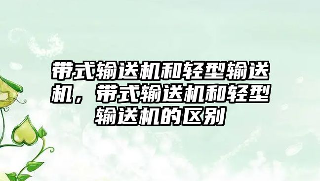 帶式輸送機和輕型輸送機，帶式輸送機和輕型輸送機的區(qū)別