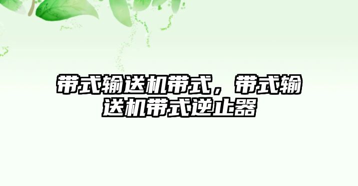 帶式輸送機帶式，帶式輸送機帶式逆止器