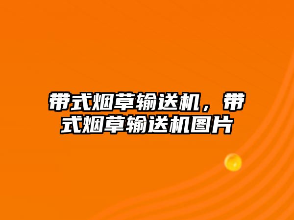 帶式煙草輸送機，帶式煙草輸送機圖片