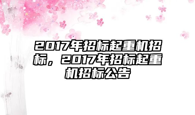 2017年招標起重機招標，2017年招標起重機招標公告