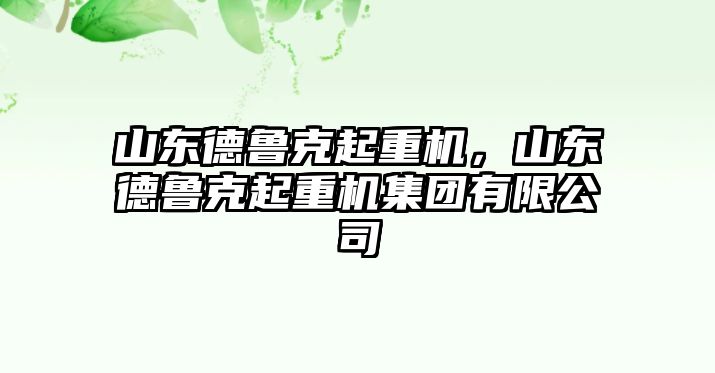 山東德魯克起重機(jī)，山東德魯克起重機(jī)集團(tuán)有限公司