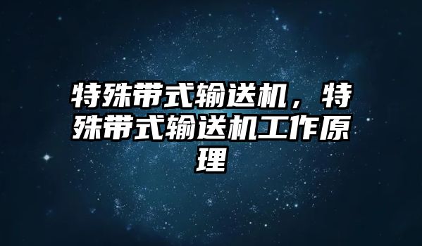 特殊帶式輸送機(jī)，特殊帶式輸送機(jī)工作原理