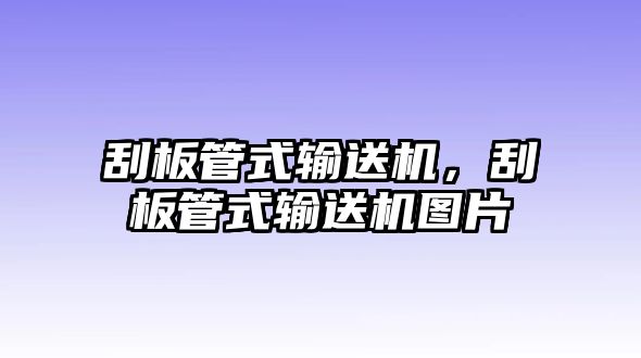 刮板管式輸送機(jī)，刮板管式輸送機(jī)圖片