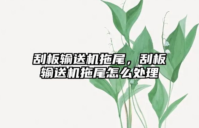 刮板輸送機拖尾，刮板輸送機拖尾怎么處理