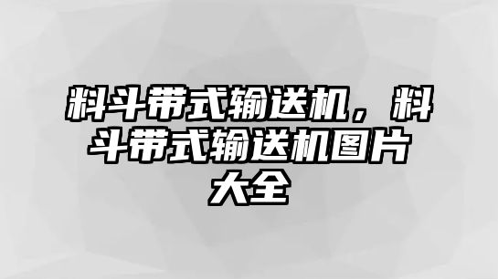 料斗帶式輸送機(jī)，料斗帶式輸送機(jī)圖片大全