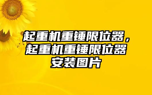 起重機(jī)重錘限位器，起重機(jī)重錘限位器安裝圖片