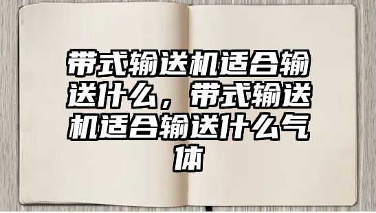 帶式輸送機適合輸送什么，帶式輸送機適合輸送什么氣體