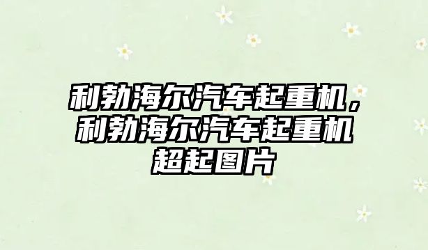 利勃海爾汽車起重機，利勃海爾汽車起重機超起圖片